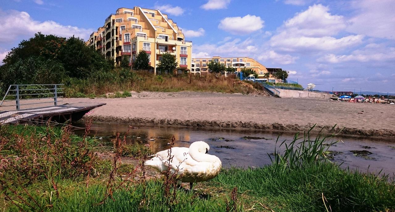 Akb Apartment Sea View アヘロイ エクステリア 写真